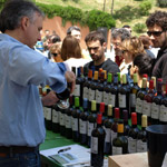 Wine tasting
