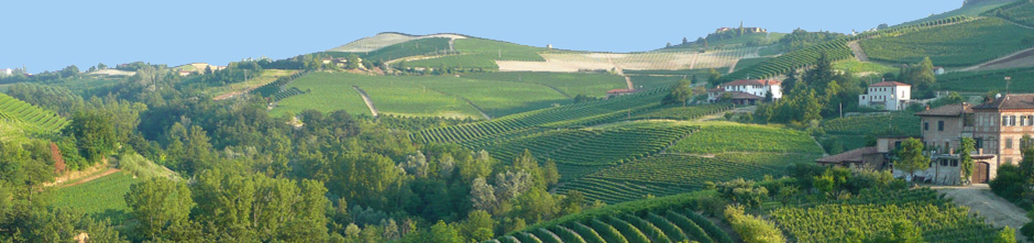 TorreBarolo